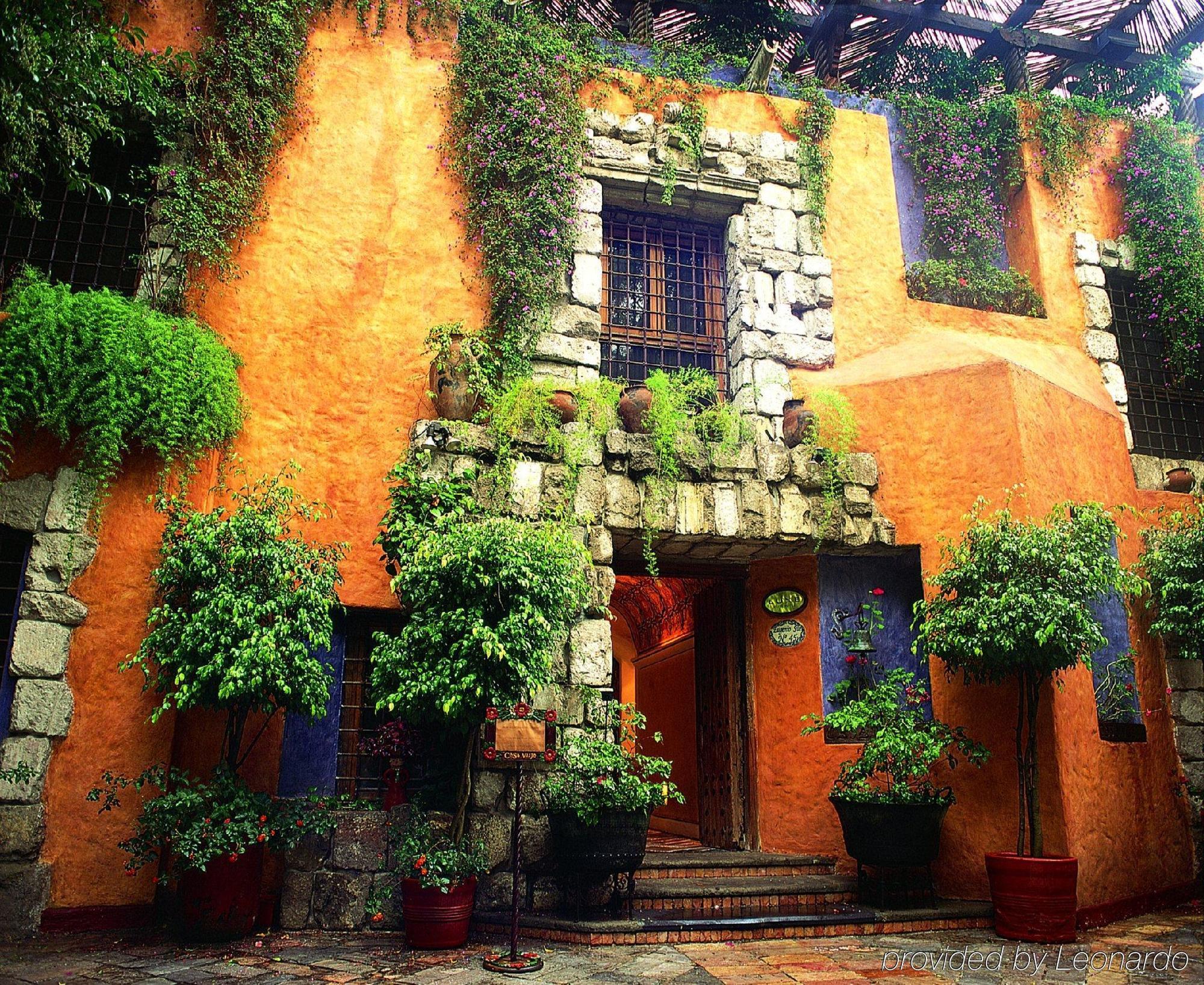 Busue A Boutique Experience Hotel 墨西哥城 外观 照片